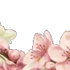 🌸