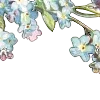 🌺