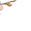 🌸