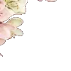 🌸