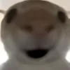 😯