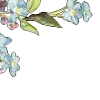 🌺