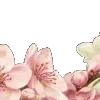 🌸