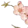🌸