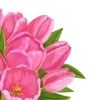 🌷
