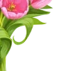 🌷