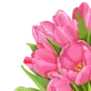 🌷