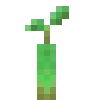 🌱