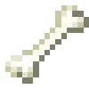 🦴