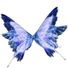 🦋