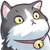 😼