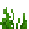 🌿