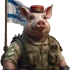 🇮🇱