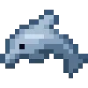 🐬