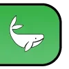 🐋