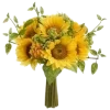 🌻