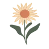 🌻