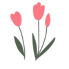 🌷
