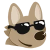 😎
