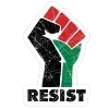 🇵🇸