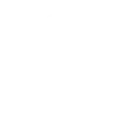 🧠