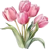 🌷
