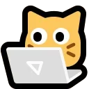 💻