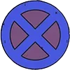 ❌