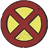 ❌