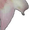 ⭐