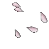 ⭐