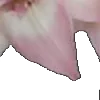 ⭐