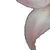 ⭐