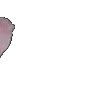 ⭐