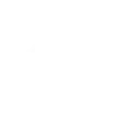 🫁