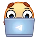 👨‍💻