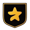 🌟