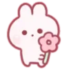 💓