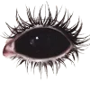 👁