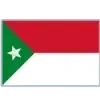 🇻🇪