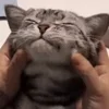 ☺️