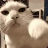 👊