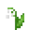 🎋