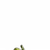 👽
