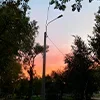 🌅