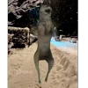 🐺