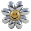 🌼
