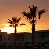 🌅