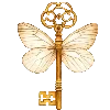 🔑