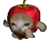 🍎